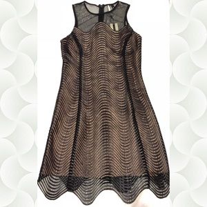 Topshop Curve Mesh Mini Dress